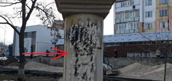 Bustul regelui Ferdinand I, de la Nisporeni – vandalizat. Declarația Primarului: „Am o singura întrebare, DE CE?”