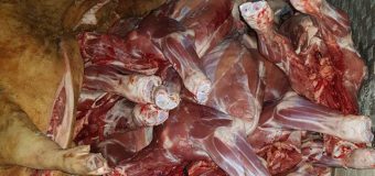 Carne în condiții antisanitare, urma să ajungă la Piața Centrală din Chișinău