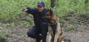 Cea mai bună echipă canină a Poliției de Frontieră – apreciată