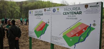 Pădurea Centenar – plantată de silvicultorii din România și Republica Moldova (foto)