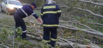 Prejudicii în urma ploii cu grindină, în mai multe localități din Republica Moldova