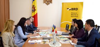 Intotero, la Chișinău: În anul centenarului agenda MRP este complexă, invităm BRD să participe la realizarea unui calendar de activități concrete