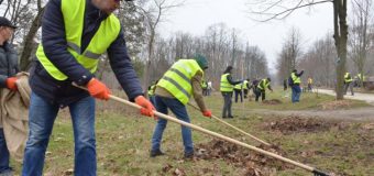 Primăria Chișinău va comunica programul zilnic al lucrărilor planificate, în cadrul campaniei: „Facem curat lună!”