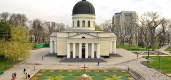 Pentru o săptămână, în scuarul Catedralei va fi amenajat un covor de flori. Iată cât costă ideea Primarului interimar