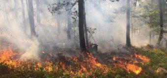 Meteorologii au anunţat până la sfârşitul lunii Cod Galben de incendii