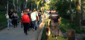 În minivacanță, zilnic, au intervenit peste 600 de polițiști