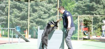 Echipa Serviciului Vamal al Republicii Moldova, câștigătoarea Competiției Chinologice Internaționale