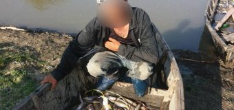 Acțiuni comune la frontiera moldo-română pentru reținerea „braconierilor”