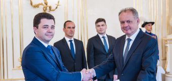 Ambasadorul RM în Austria – acreditat, prin cumul, și-n Slovacia