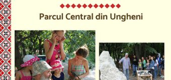Tabăra Internațională de Sculptură dedicată Centenarului Marii Uniri. Detalii!