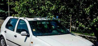 Un cetățean al Bulgariei cu certificatul de înmatriculare falsificat, oprit la graniță