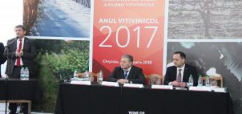 Premieră pentru sectorul vitivinicol din R. Moldova: „Primul cetățean care va deține…”