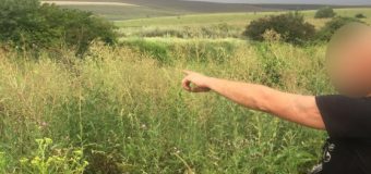 Un moldovean, dat în căutare de autoritățile naționale, reținut la frontieră