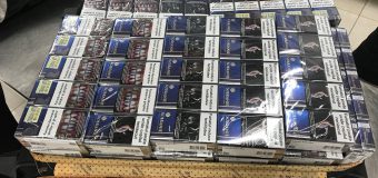 Peste 11 000 de țigarete, depistate cu ajutorul câinilor specializați ai vămii