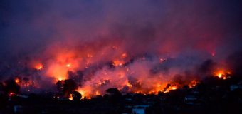 Incendiu de vegetație devastator în Grecia. Ambasada Republicii Moldova la Atena oferă detalii despre cetățenii moldoveni