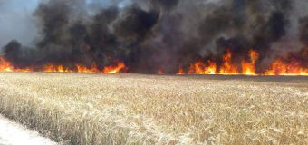 Mai multe hectare de grâu au ars în urma descărcărilor electrice