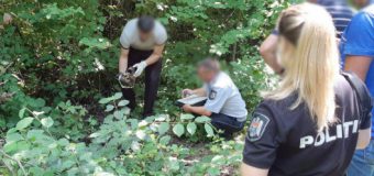 Un tânăr riscă detenție pe viață pentru dublu omor