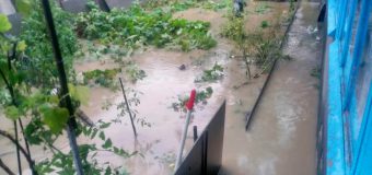 Ieri, mai multe localități din țară au fost afectate de ploi (FOTO)