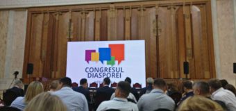 Ministra Babuc, la Congresul Diasporei: Guvernul va face tot ce este pentru ca legătura cu diaspora să fie întărită mereu
