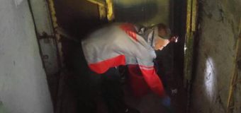 Lucrări de dezinsecție la toate blocurile din Chișinău