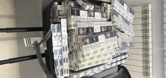Pe parcursul a două zile, cu ajutorul câinilor de serviciu ai Vămii, au fost depistate 21 780 de țigarete nedeclarate