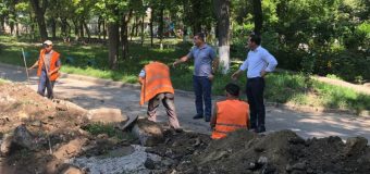 Cum se desfășoară lucrările de reparație a căilor de acces în curţile blocurilor din Chișinău (FOTO)