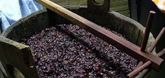O femeie – intoxicată cu dioxid de carbon, în urma procesului de fermentare a vinului