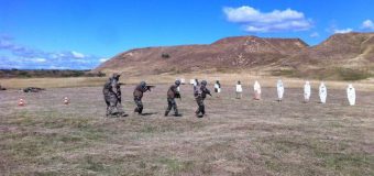 Militarii Armatei Naţionale – la instruiri în România