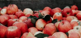 În premieră, merele moldovenești vor fi exportate în India