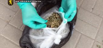 Traficanți de droguri, demascați de polițiști