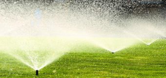 În Grădina Publică „Ştefan cel Mare şi Sfânt” va fi instalat sistem de irigare