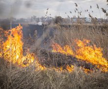 Incendiu de vegetație uscată pe strada Mesager din Chișinău