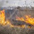 Incendiu de vegetație uscată pe strada Mesager din Chișinău