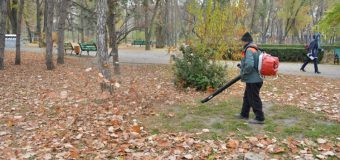 În parcurile din Chişinău, frunzele vor fi strânse cu aspiratoarele