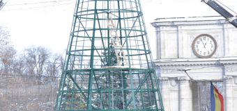 Pomul de Crăciun din centrul Capitalei – demontat. Iată unde va fi depozitat!