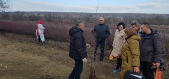 Experții „Rosselihoznadzorului” – în gospodăriile agricole de profil din R. Moldova