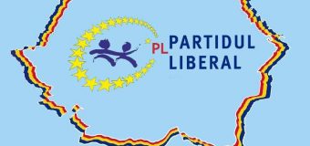 PL, lansat în campanie: Aceasta este calea, unioniștii să fie în Parlament