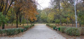 Parcul „Alunelul” din Chișinău va fi renovat. Iată când încep lucrările!