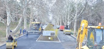 Aleile din Parcul „Valea Trandafirilor” – în reconstrucție (FOTO)