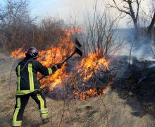 Pompierii din capitală luptă cu flăcările într-un incendiu extins de vegetație uscată