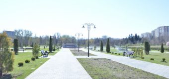 3 000 de trandafiri vor fi plantați în Parcul „Dendrariu”. Ce alte schimbări vor fi efectuate!