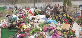 Ce spun specialiștii despre florile și decorațiunile din plastic, în ajunul Paștelui Blajinilor