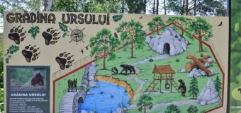 La Grădina Zoologică din Chișinău are loc amenajarea unei voliere noi pentru urși