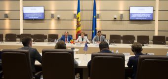 Zinaida Greceanîi a solicitat Parlamentului European suport și expertiză pentru comisiile de anchetă instituite în Parlament