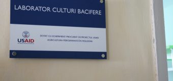 A început înscrierea pentru noul an de studii la unicele din RM care pregătesc meseriași în sectorul apicol