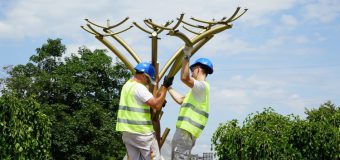 Arbori fotovoltaici – instalați la Chișinău. Care este scopul lor și unde pot fi găsiți!