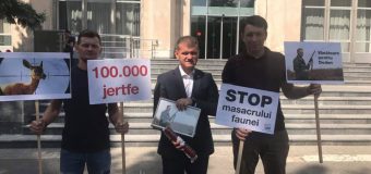 Se opun unei Hotărâri de Guvern cu privire la vânătoare. Ce solicită USB