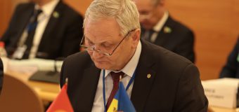 Un deputat a participat la discuțiile pe marginea proiectelor Codului electoral model pentru țările membre CSI