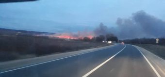 Incendiu de vegetație uscată în raionul Strășeni. Serviciul Meteorologic de Stat avertizează!