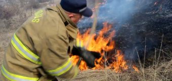 Pompierii au lichidat peste 60 de focare de vegetație uscată, în ultimile 24 de ore